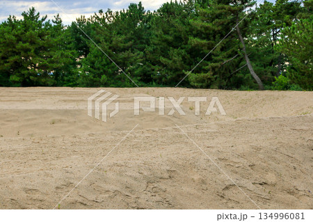 琴弾公園 琴弾公園 134996081