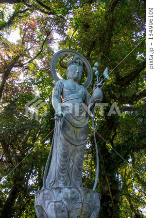 最御崎寺 134996109