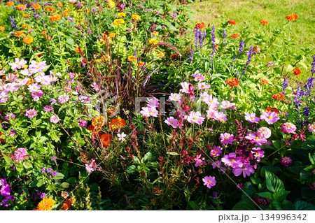 ヨーロッパの花壇 ヨーロッパの花壇 134996342