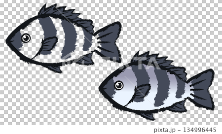 Sea bream 134996445