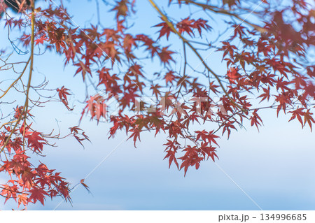 空きを感じる 空きを感じる 134996685