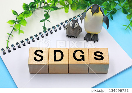 SDGsと書かれたブロック 134996721