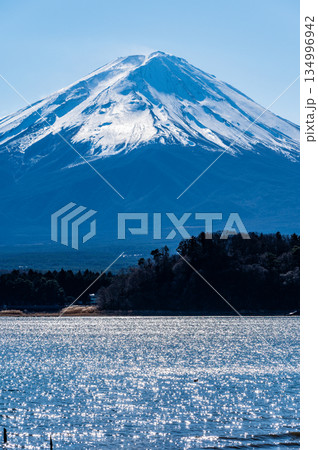 山梨県河口湖と富士山 134996942