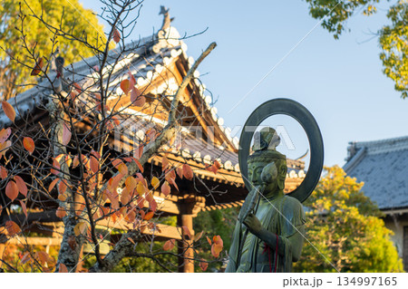 お寺の風景 お寺の風景 134997165
