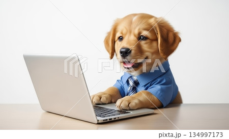 パソコンで仕事をする犬のビジネスイメージ｜ユーモア・オフィス・白背景 134997173