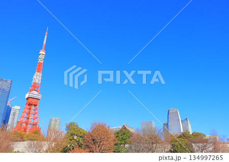 東京都港区、東京タワーの風景 134997265
