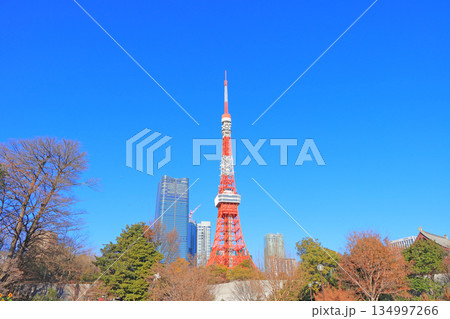 東京都港区、東京タワーの風景 東京都港区、東京タワーの風景 134997266