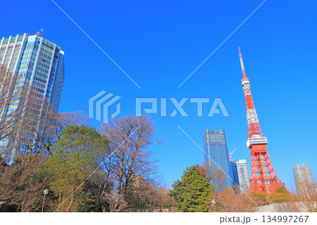東京都港区、東京タワーの風景 東京都港区、東京タワーの風景 134997267