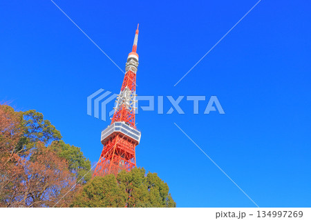 東京都港区、東京タワーの風景 134997269