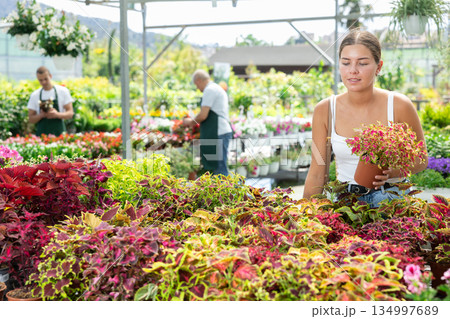 Young woman choosing coleus in flower shop Young woman choosing coleus in flower shop 134997689