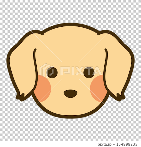 金毛尋回犬臉部圖標 134998235