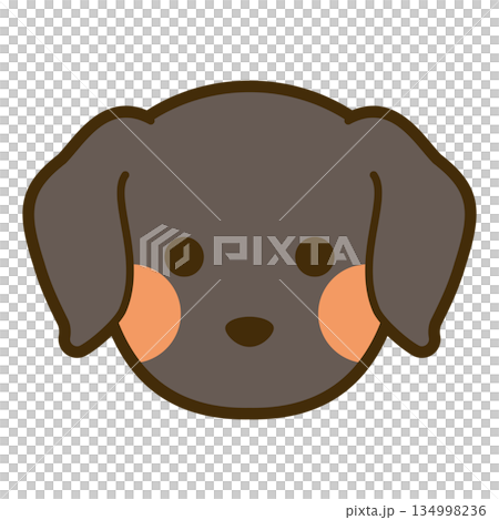Labrador retriever face icon 134998236
