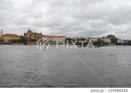 チェコ共和国　首都　プラハ　ヴルタヴァ川右岸の風景 134998388