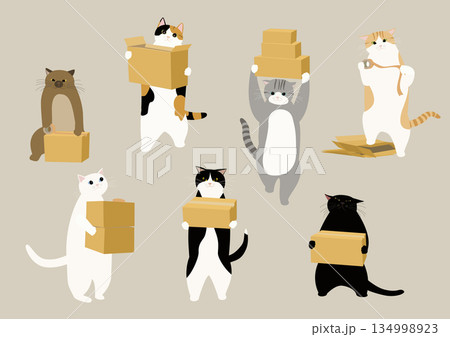 ダンボール箱を運ぶ7匹の猫 ダンボール箱を運ぶ7匹の猫 134998923