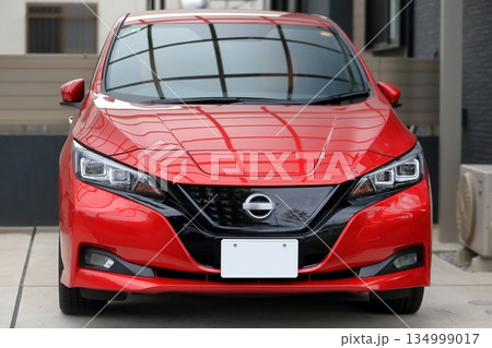 国産電気自動車 134999017