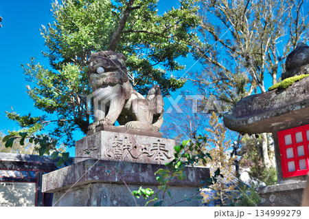青井阿蘇神社 青井阿蘇神社 134999279