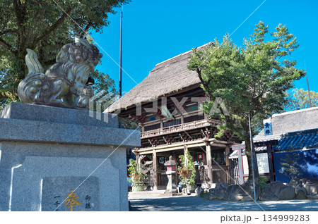 青井阿蘇神社 134999283