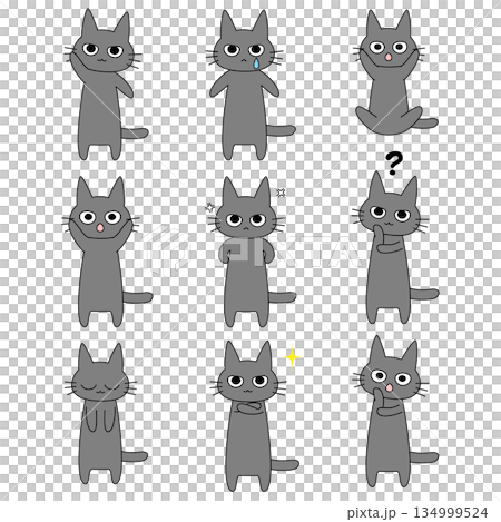 表情豊かな黒猫のキャラクターセット 様々なポーズ 喜怒哀楽 全身 猫のイラスト 134999524