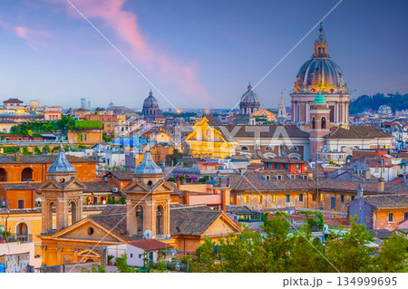Aerial panoramic cityscape of Rome in Italy 134999695