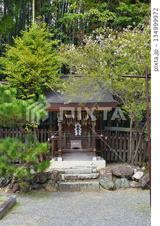 京都 平野神社 八幡大神(京都府京都市北区) 京都 平野神社 八幡大神(京都府京都市北区) 134999972