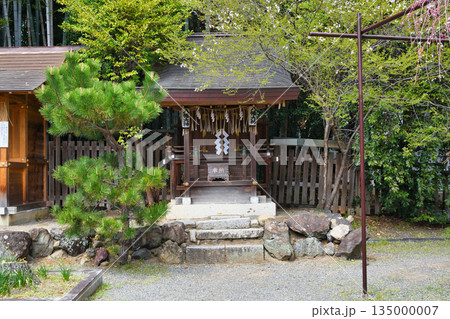 京都 平野神社 八幡大神(京都府京都市北区) 京都 平野神社 八幡大神(京都府京都市北区) 135000007
