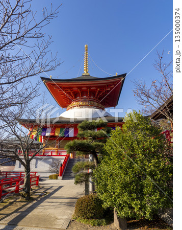 色鮮やかな中山寺の大願塔 135000374