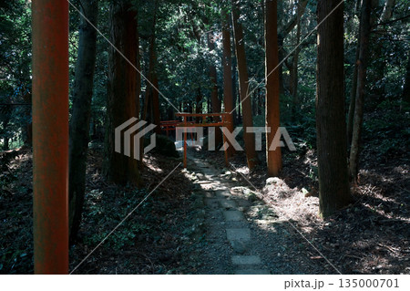 静かな森の中にある稲荷神社の鳥居 135000701