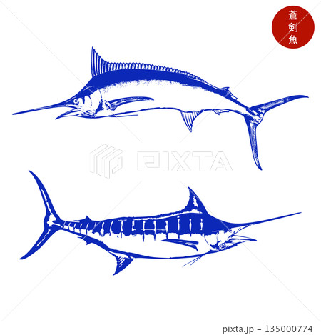 Blue marlin fish vector swordfish illustration sport fishing logo ocean predator graphic 135000774