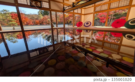 宝徳寺の床もみじ 宝徳寺の床もみじ 135001020