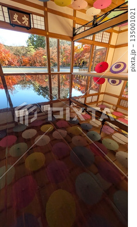 宝徳寺の床もみじ 宝徳寺の床もみじ 135001021