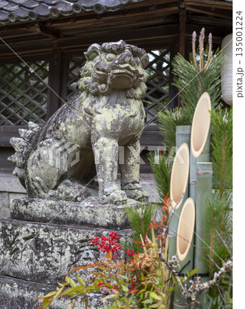 神社に飾られた門松と狛犬 神社に飾られた門松と狛犬 135001224