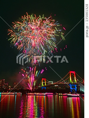 お台場冬花火竹 お台場冬花火竹 135001328