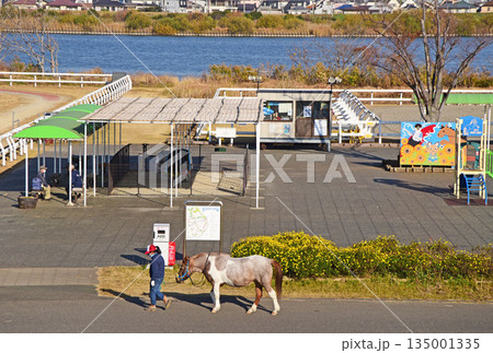河川敷の牧場 河川敷の牧場 135001335