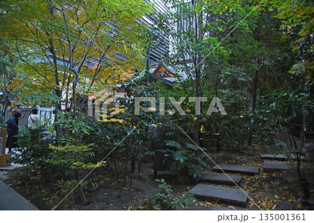 福徳の森 福徳の森 135001361