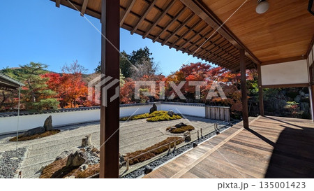 宝徳寺の紅葉と日本庭園 135001423