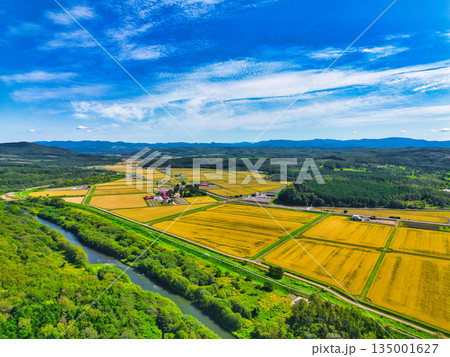 空撮写真 135001627