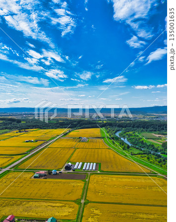 空撮写真 空撮写真 135001635