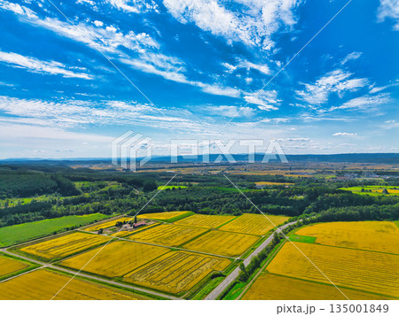 空撮写真 空撮写真 135001849