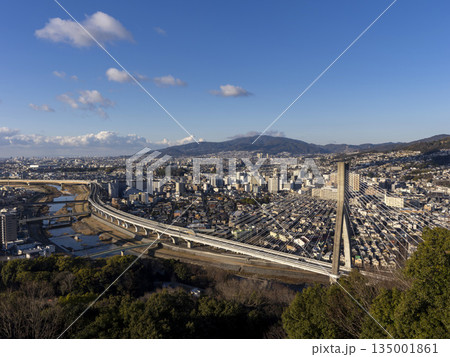 冬の朝 五月山から見る街の風景 冬の朝 五月山から見る街の風景 135001861