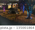 川口市のイルミネーション 川口市のイルミネーション 135001864