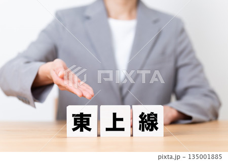東上線のブロックとスーツを着たミドル女性ビジネスウーマン 東上線のブロックとスーツを着たミドル女性ビジネスウーマン 135001885