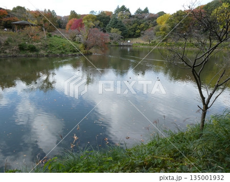 三ツ池公園 三ツ池公園 135001932