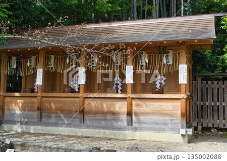京都 平野神社 春日社 住吉社 蛭子社 鈿女社(京都府京都市北区) 京都 平野神社 春日社 住吉社 蛭子社 鈿女社(京都府京都市北区) 135002088