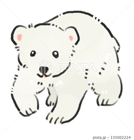 四つん這いで一生懸命に歩くシロクマの赤ちゃんの成長や動物イメージの水彩風手描きイラスト 135002224