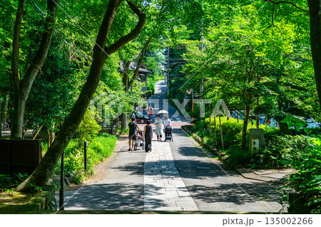 【東京都】新緑が美しい調布市の深大寺 135002266