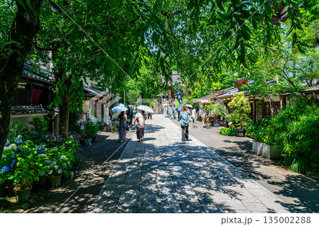 【東京都】新緑が美しい調布市の深大寺 135002288