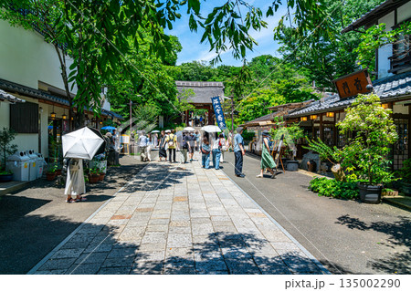 【東京都】新緑が美しい調布市の深大寺 【東京都】新緑が美しい調布市の深大寺 135002290