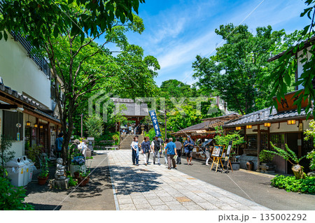 【東京都】新緑が美しい調布市の深大寺 135002292