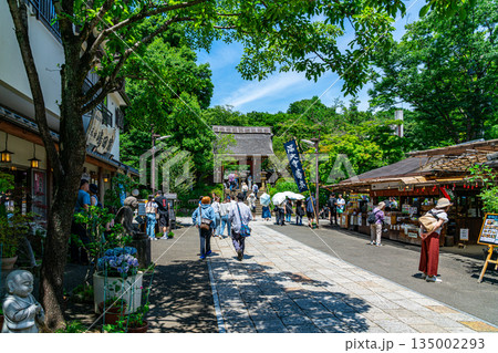 【東京都】新緑が美しい調布市の深大寺 135002293