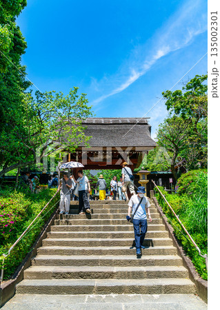 【東京都】新緑が美しい調布市の深大寺 【東京都】新緑が美しい調布市の深大寺 135002301
